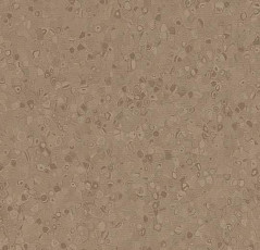 Линолеум Forbo Sphera Element 50025 earth фото 1 | FLOORDEALER